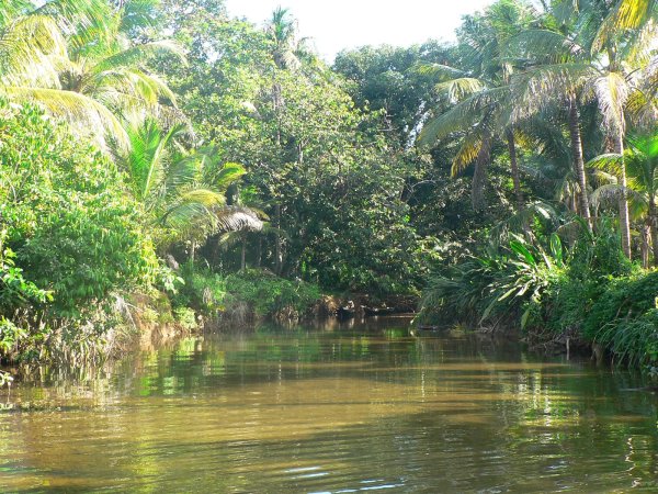 108- Rio Mamargandi 